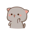 gatitos 9