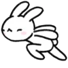 BUNNY 🤍🐰 5
