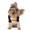 MISO pup 🐶💛🧡. mov 12