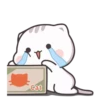 𓄂Cute | 11