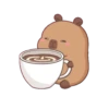 Capybara 1 11