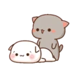 Peach & Goma Cat #1 9