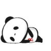 PANDA 12