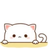😻 Los Gatitos #02 8