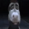 Burro 🫏 (Shrek) 6