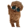 MISO pup 🐶💛🧡. mov 15