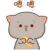gatitos 10