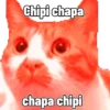 Gato Chipi Chipi 2 7