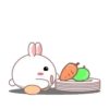 Rabbit mayla 9