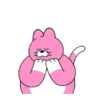 Fav Cat Pingo y sus amigos 🤗 9
