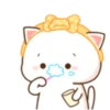 gatitos 11