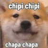 Gato Chipi Chipi 2 8