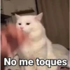Gatitos Locos 2😼 6