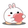 Rabbit mayla 10