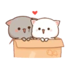 Peach & Goma Cat #1 13