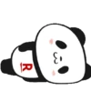 PANDA 16