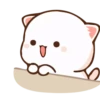 Peach Goma Cats 13