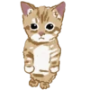 Chipi Chipi Chapa Chapa 4