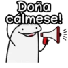 Flork Megafono 📢 13