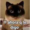 Gatitos Locos 2😼 7