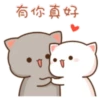 😻 Los Gatitos #02 12