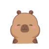 Capybara 1 13