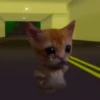 🐱 Gato Roblox 💫baile 😹💫 7