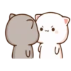 Love Cats 1 ❤️ 17