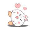 Rabbit mayla 12