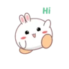 Rabbit mayla 13