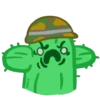 Cactus 9