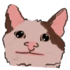 Chipi Chipi Chapa Chapa 5