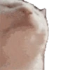 Twitch Emote WhatsApp Sticker 7