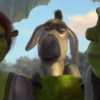 Burro 🫏 (Shrek) 9