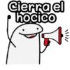 Flork Megafono 📢 14