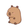 Capybara 1 14