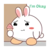 Rabbit mayla 15