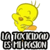 Piolin 5