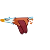 乡⎝⎝𓅂 𓅂⎠⎠乡 5