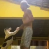🎵 TIKTOKeando 2🎵 12
