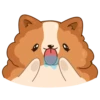 Hamster Bernard 14