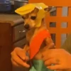 🎵 TIKTOKeando 3🎵 11