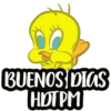 Piolin 6