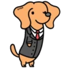 Perro Bachicha 10