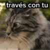 Gato Chipi Chipi 2 11