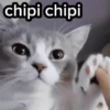 Gato Chipi Chipi 2 13