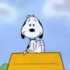 ﹒🐶˙﹟Snoopy﹗© ivanbu 17