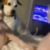 🎵 TIKTOKeando 7🎵 11