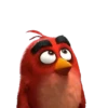 Meme Angry Birds 5