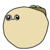 Burrito 10